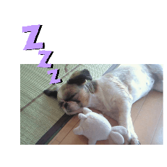 Our family's precious treasure