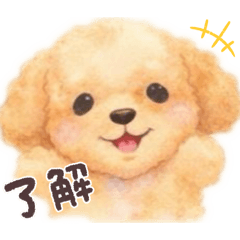 arinkosan_20260421160632