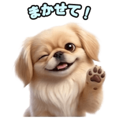 208 Pekingese LINE stickers