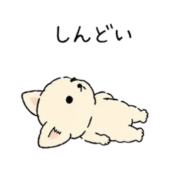 muroikangaroo_20260421164915