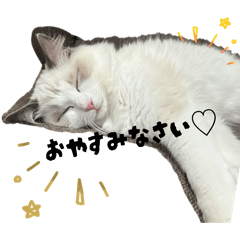 azu-sa_20260421160611