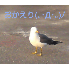 kichiwo satohi_20260421172730