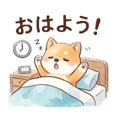 Daily Life of Cute Shiba Inu!