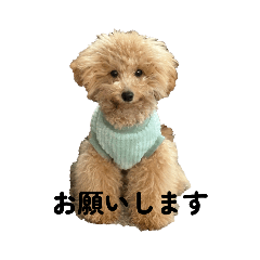 naoco_20260421211918