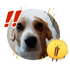 kou5577_20260421212718