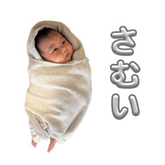 shimo_20260421220523