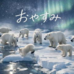 WILDLIFE OF THE WORLD