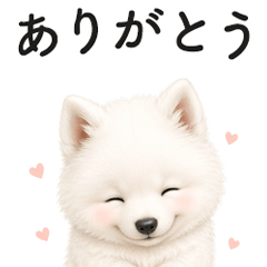 Cute Samoyed Reply Stickers JP