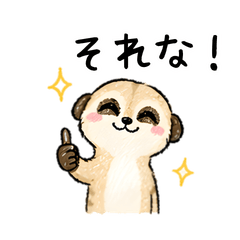 A cute meerkat perfect for everyday use