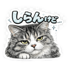 Hachi_20260421175352