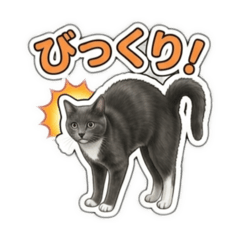 Pizza_20260421175540