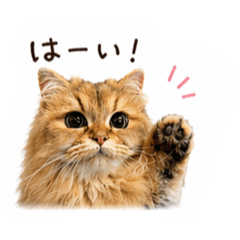 meguko_20260421175934