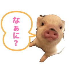 CHIHO_20260421220855