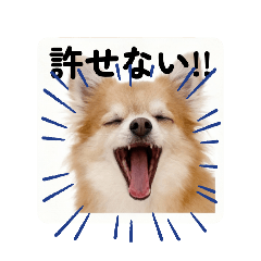 hana521_20260421220329