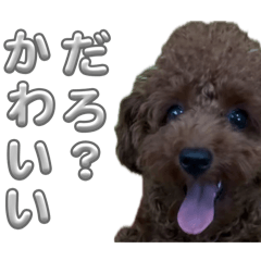 TKGBrother_20260418123113