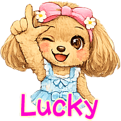 toy poodle/lucky