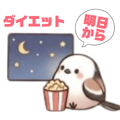 Your Daily Companion: Shima Enaga