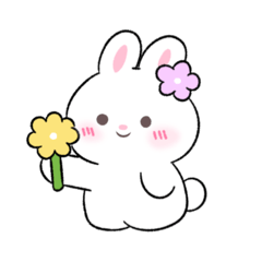 Bunny Bloom