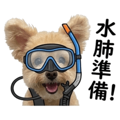 賓仔2