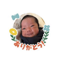 sorao_20260421180157