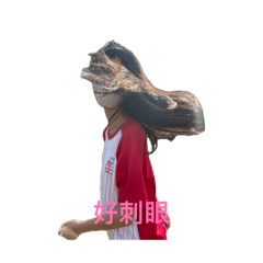 神奇寶貝magic baby