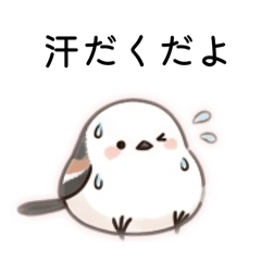 rinko_20260421202549