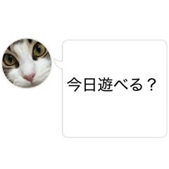 yuipyon_20260421203137