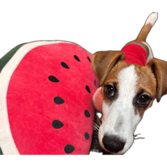 chikuwa_20260422001704