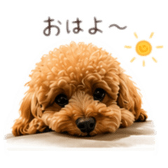 Ralph_20260422002409