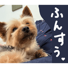 Manmaru_20260422002930