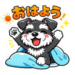 Miniature Schnauzer 24