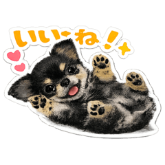 yururin_20260421142933