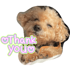 umigasuki_20260421175745