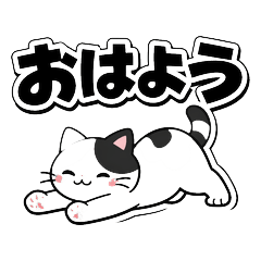 Calico Cat's Whimsical Daily Life