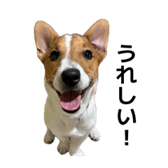 ohana_20260421214830