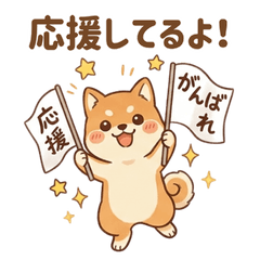 Cute Shiba Inu: Daily life