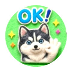 Shaboz_20260421215103z