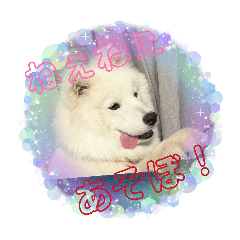 ronrin_20260421214853