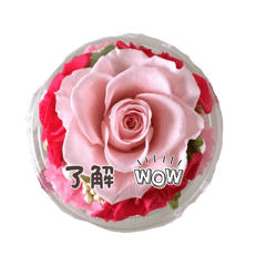 takutonkatu_20260421215307