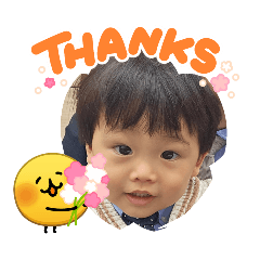 ayapan_20260422091007