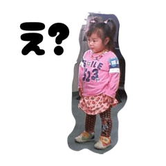 Wdpfpydp_20260422091613