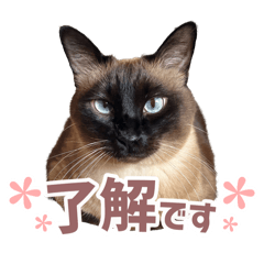 yuuuri_20260422095927