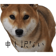 KINAKO_20260422065209