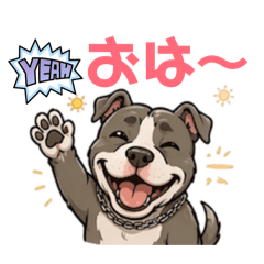 lover_20260422070450