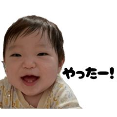 pom65_20260422072429