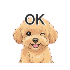 Parco的實用日常