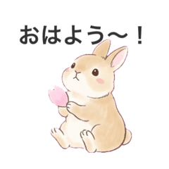 Cocoa_20260421210146