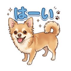 kojiro_20260421210353