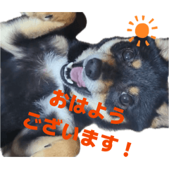 umekochan_20260421225157