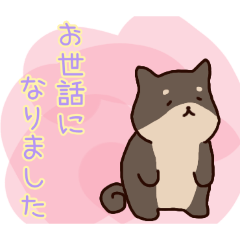 PAKAMOGOLY_20260421225900